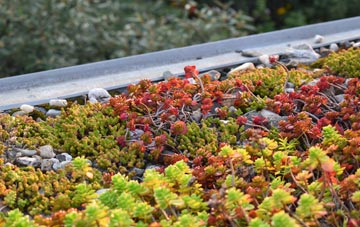 the cost of Scottow green roof installation