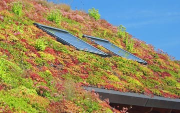 Scottow living roof systems